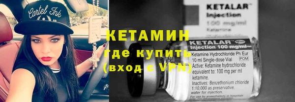 шишки Аркадак