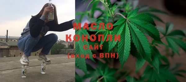 шишки Аркадак