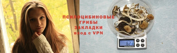 дживик Баксан