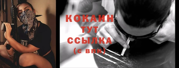 дживик Баксан