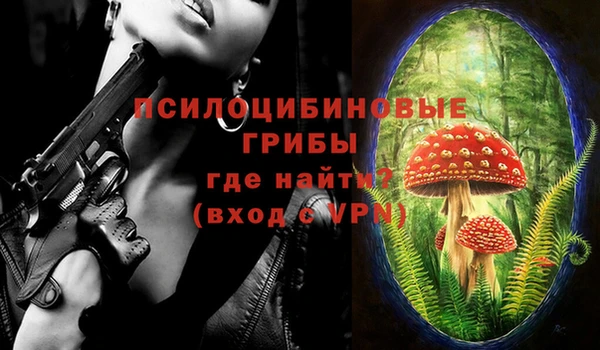 бошки Арсеньев