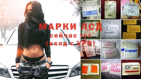 дживик Баксан